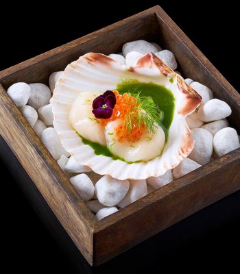Ceviche/ Muschel st. Jacob/ Gurke/ Apfel/ Limette/ Spinat - Erlebnisrestaurant im Prags